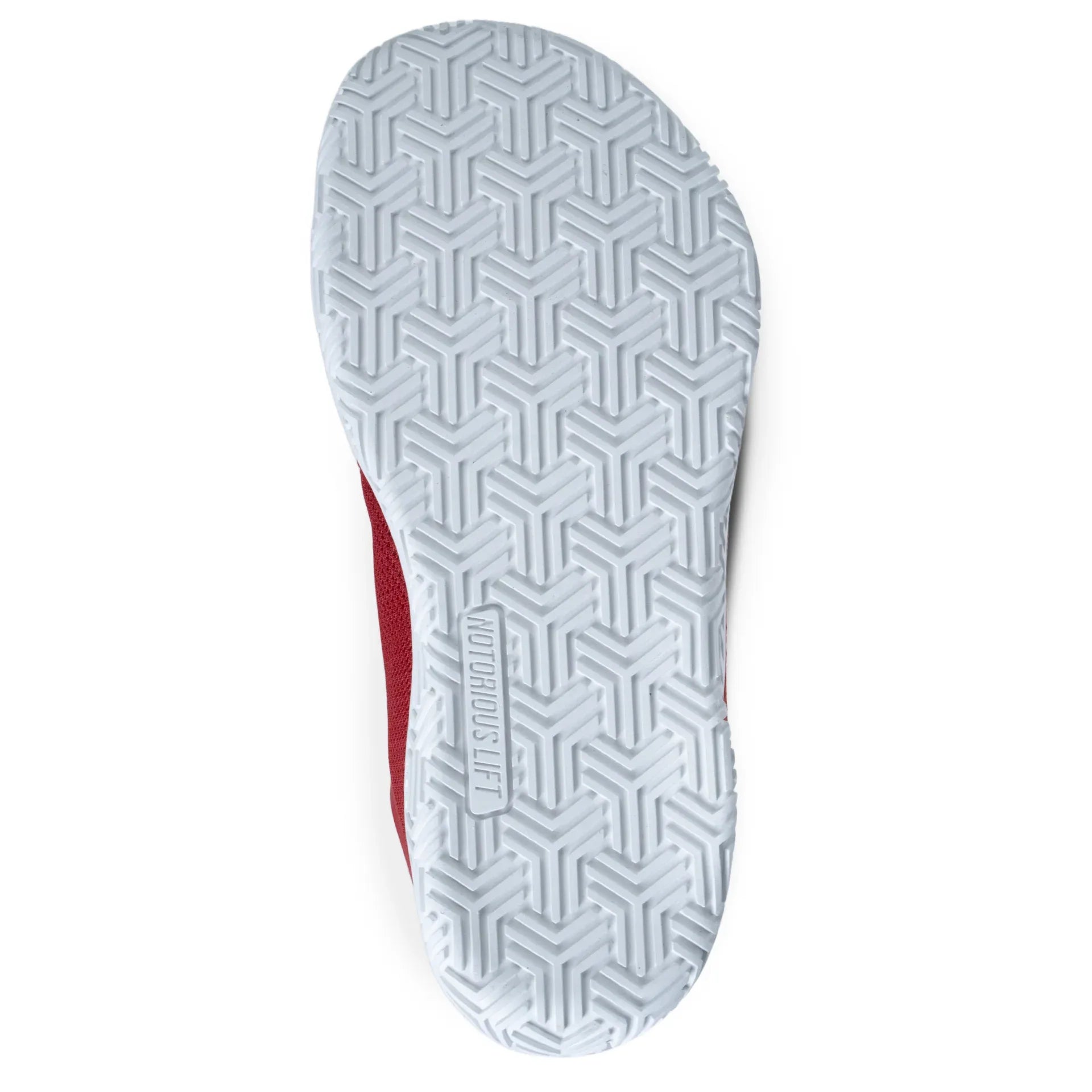 Radix Pro: Year of the Horse - Notorious Lift