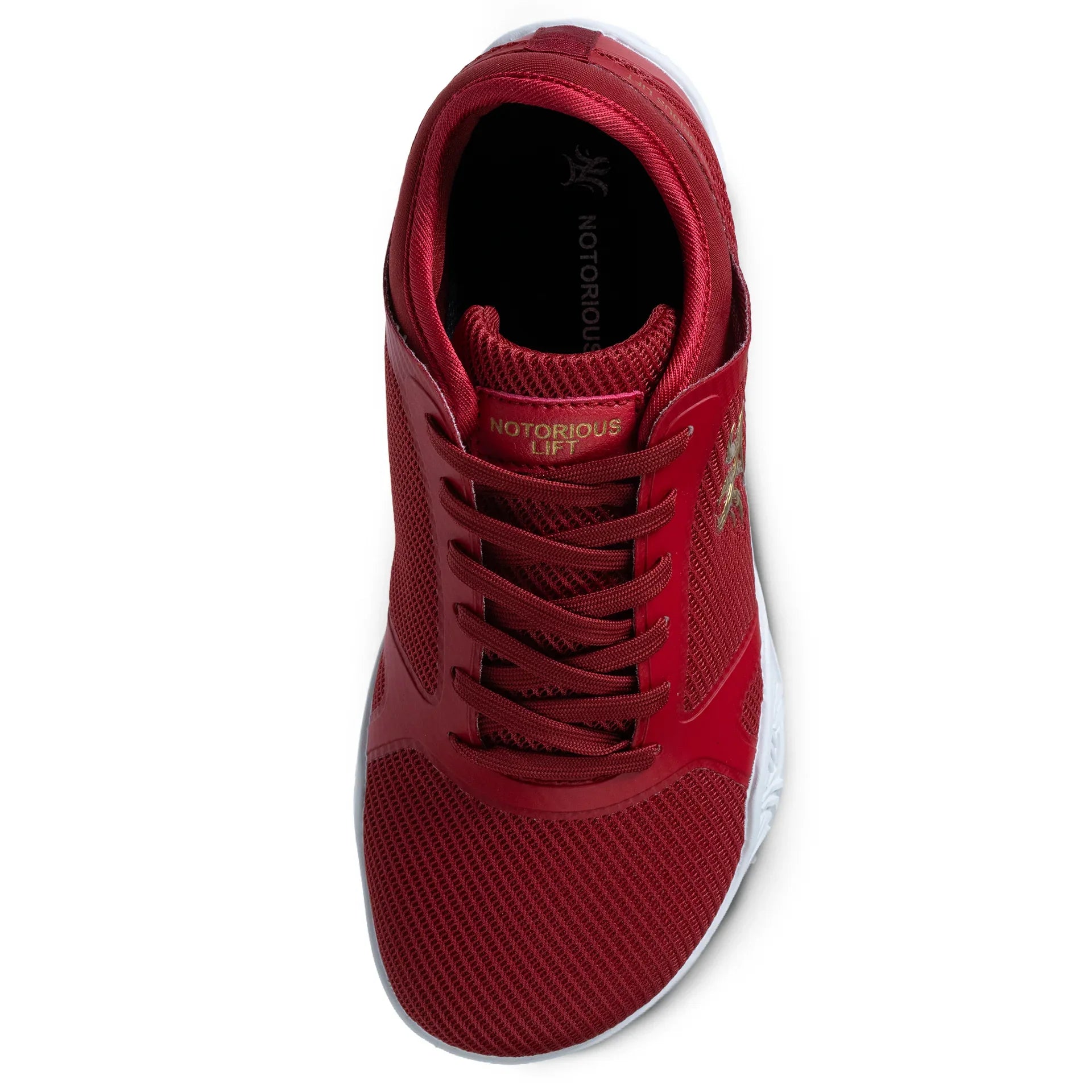 Radix Pro: Year of the Horse - Notorious Lift